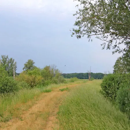 Ferienhaus Vorp 681 Prázdninový dům